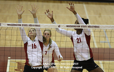 Renee Bordelon, Rachel Todorovich, Brittany Tillman - Washington State volleyball